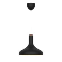 Fuji Pendant Black