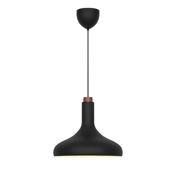 Fuji Pendant Black