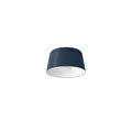 Steel blue
