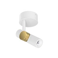 White / Gold
