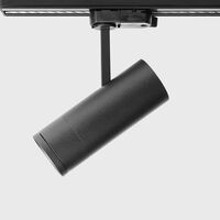 Elba 3000K Ceiling Light Black