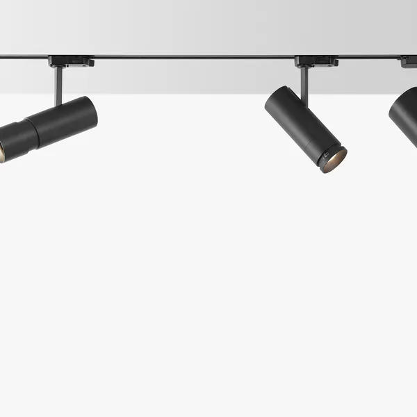 Elba 3000K Ceiling Light Black