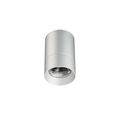 Silvergrey