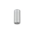 Silvergrey