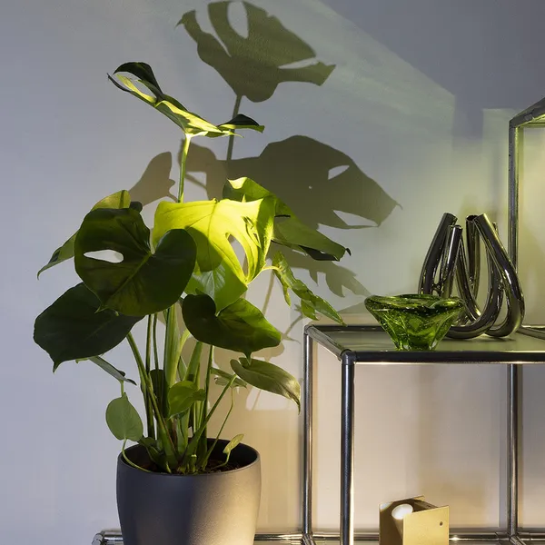 Plinth Mini Spot Black