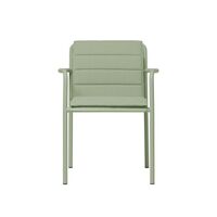 Dapple Cushion For Chair Tea Green