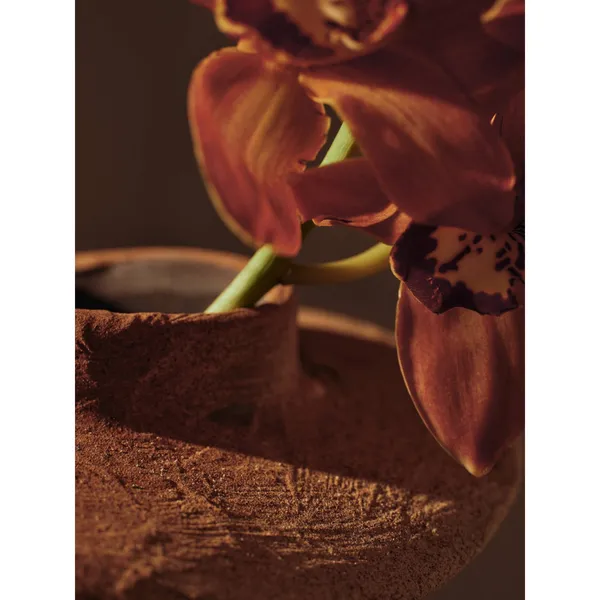 Evio Vase H22 Burnt Umber
