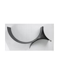 Curated Coffee Table Black Powder Coated Steel/Glass