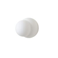 Fall 11 Wall/Ceiling Lamp Opal