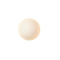 Fall 11 Wall/Ceiling Lamp Opal