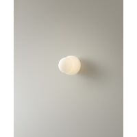 Fall 11 Wall/Ceiling Lamp Opal