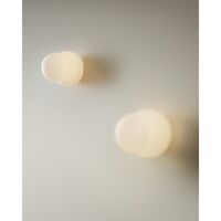 Fall 11 Wall/Ceiling Lamp Opal