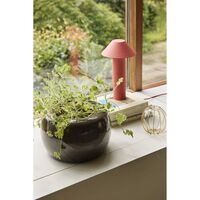 Maru Jar Set of 2 Blue/ Brown