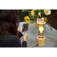 The Muse 2.0 Portable Lamp Solid Brass