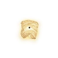 Maap W1 Wall Lamp White
