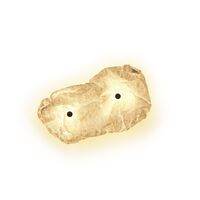 Maap W2 Wandlamp Wit
