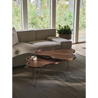 Flower Mono Coffee Table 90x45 Chrome/ Walnut