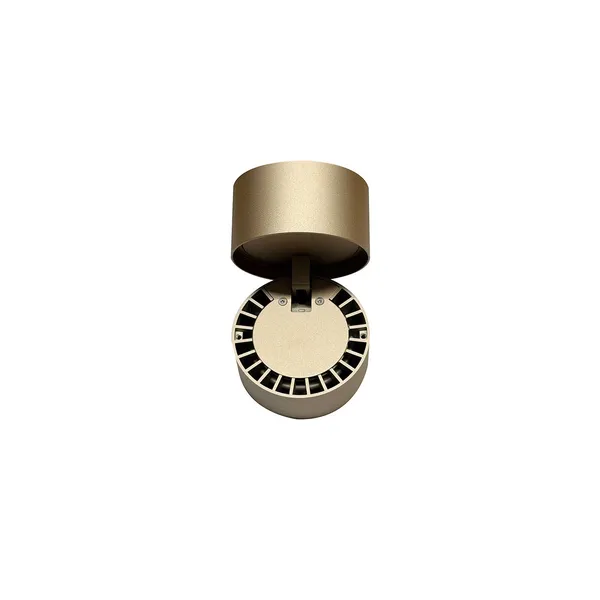 Ray Spot 15W Gold