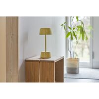 Dexter Tragbare Lampe Sunset Curry