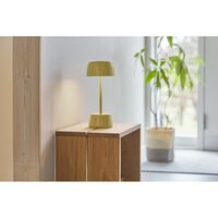 Dexter Tragbare Lampe Sunset Curry
