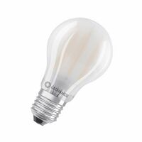 Żarówka E27 LED 11W 2700K Ściemnialna Oszroniony