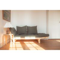 Beat Sofa Clear Lacquered Pine/747 Beige