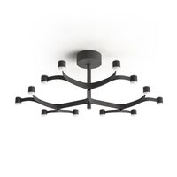 Fronda 12 Loftlampe Black 9005