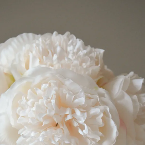 Mini Peony Buket Cream