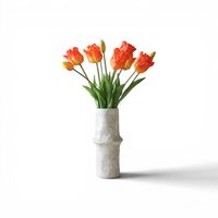 Triumph Tulip Mazzo Arancione