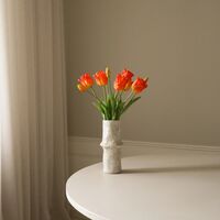 Triumph Tulip Mazzo Arancione
