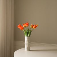 Triumph Tulip Mazzo Arancione