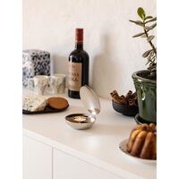 Shell Telysholder Nikkel