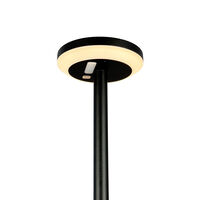 Otera Lampada Solare da Giardino Nera 50 cm