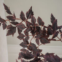Leaves Bouquet Burgundy