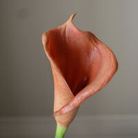 Calla Lily Bouquet Brown