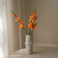 Gladiolus Flower Bouquet Orange