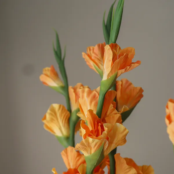 Gladiolus Flower Bouquet Orange