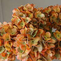 Hydrangea Bouquet Orange