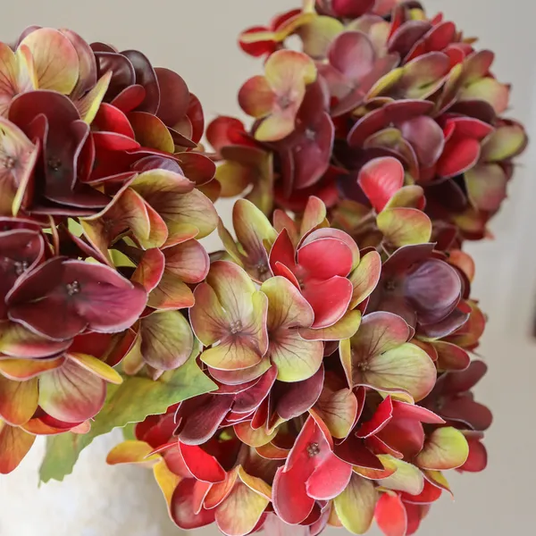 Hydrangea Bouquet Deep Burgundy