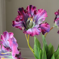 Parrot Tulip Boeket Paars