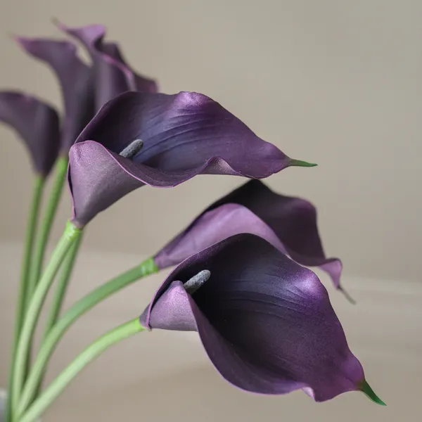 Calla Lily Bouquet Dunkelviolett
