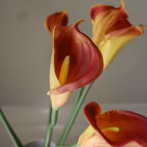 Calla Lily Bouquet Orange