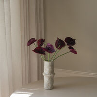 Anthurium Bouquet Purple