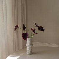 Anthurium Bouquet Purple
