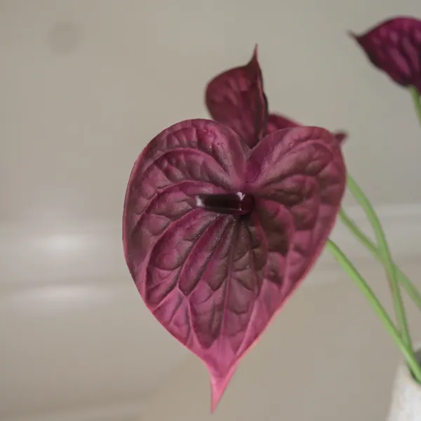 Anthurium Bouquet Purple