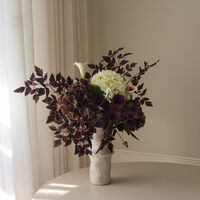 Wild Noir Bouquet Burgundy