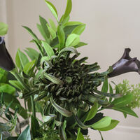 Verdant Noir Bouquet Donkergroen