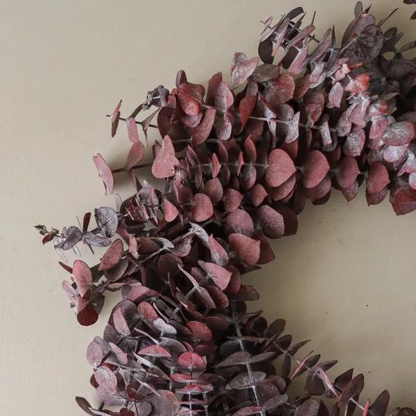 Eucalyptus Krans Donkerrood