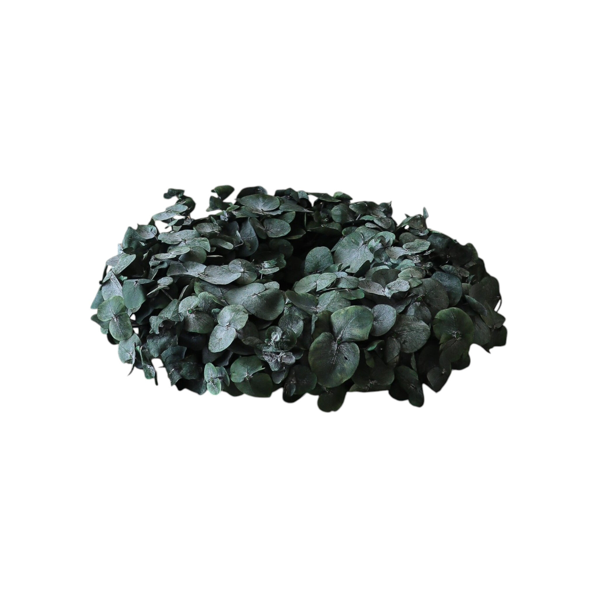 Eucalyptus Wreath Green