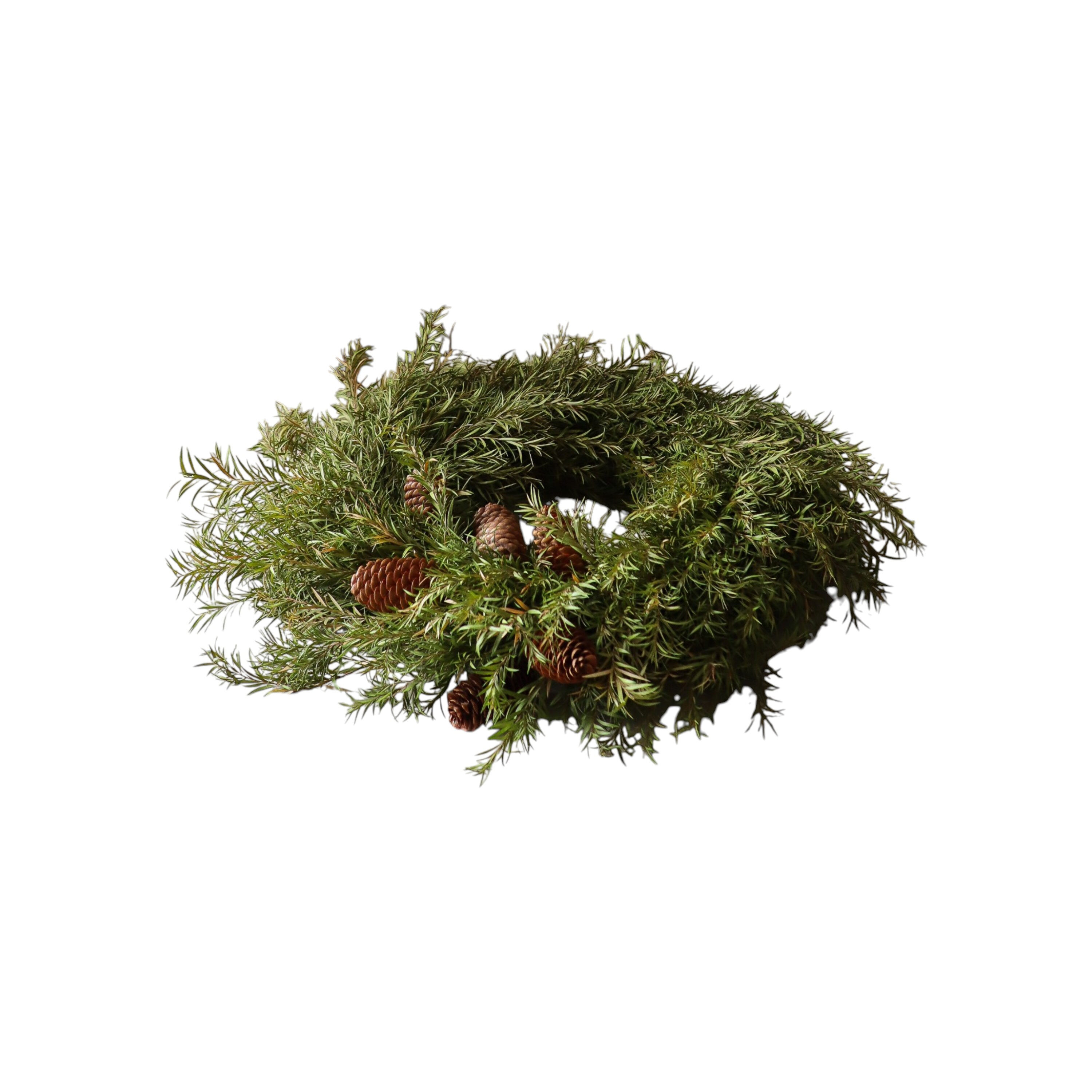 Pine Wreath Green